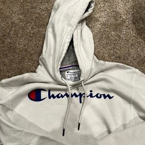 CHAMPION MENS SMALL HOODIE